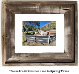 horse trail rides near me in Spring, Texas